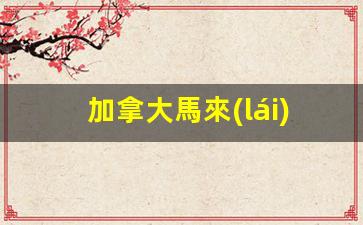 加拿大馬來(lái)西亞簽證好辦嗎(馬來(lái)西亞移民好)