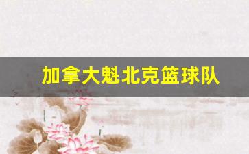 加拿大魁北克篮球队-加拿大魁北克peq失败