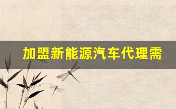 加盟新能源汽车代理需要多少钱(新能源小本创业项目)_https://www.wanyuyiyao.com_深交所_第1张