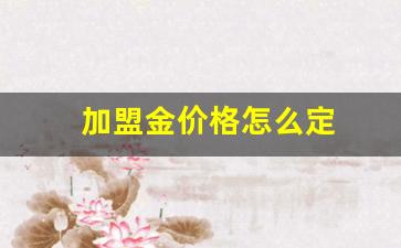 加盟金店利润有多大_加盟金价格怎么定