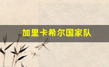 加里卡希尔国家队-加里西尼斯百度百科