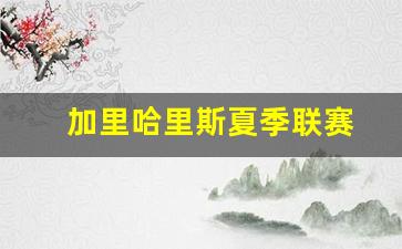 加里纳利虎扑数据-加里哈里斯夏季联赛