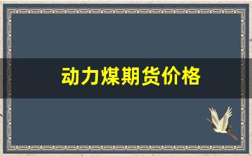 动力煤期货价格(动力煤期货价格最新消息)_https://www.jumanxin.com_上交所_第1张