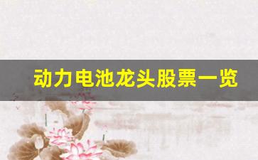 动力电池龙头股票一览(动力电池龙头公司)_https://www.erdeww.com_期货行情_第1张