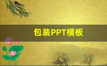 包装PPT模板(包装的ppt怎么写)_https://www.wanyuyiyao.com_深交所_第1张
