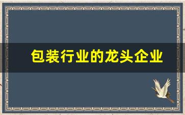 包装行业的龙头企业(国内包装龙头企业)_https://www.wanyuyiyao.com_上交所_第1张