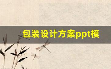 包装设计方案ppt模板(包装的设计方案)_https://www.syklpowerbike.com_北交所_第1张
