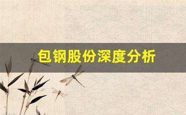 包钢股份深度分析(2024年包钢股份能涨到多少钱)_https://www.heiljjianzu.com_深交所_第1张