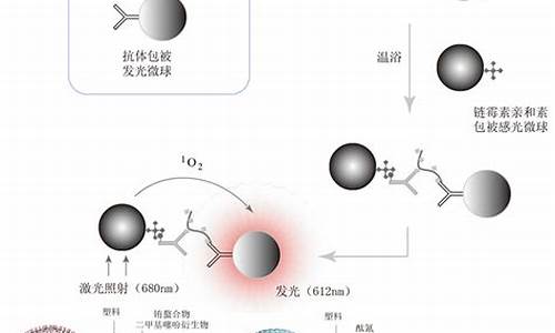 化学发光法检测原理吖啶酯-吖啶酯直接化学发光法