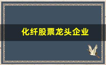 化纤股票龙头企业(化纤行业股票全览)_https://www.eamstsz.com_深交所_第1张
