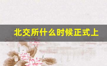 北交所什么时候正式上市(北交所什么时候正式上市交易)_https://www.haiwangdasha.com_中金所_第1张
