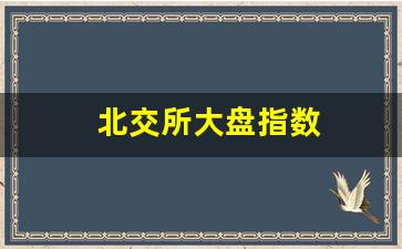 北交所大盘指数(北交所大盘指数代码是多少)_https://www.dcjwmf.com_上期所_第1张