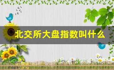北交所大盘指数叫什么(北交所大宗交易确定时间)_https://www.haiwangdasha.com_广期所_第1张