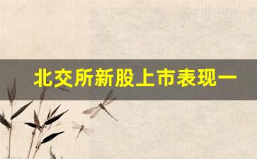 北交所新股上市表现一览表最近(北交所多少资金能中一签)_https://www.kairu168.com_上期能源_第1张