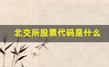 北交所股票代码是什么(北交所证券代码是多少)_https://www.haiwangdasha.com_科创板_第1张