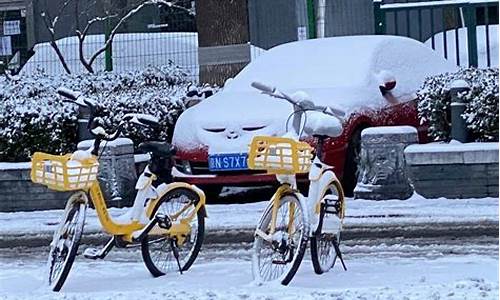 北京下雪了吗今天图片_北京下雪