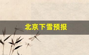 北京下雪预报_北京下雪预报图片
