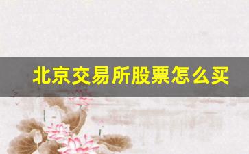 北京交易所股票怎么买卖(北京交易所股票买卖规则)_https://www.qldgs.com_原油期货_第1张