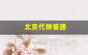 北京代辦簽證服務(wù)解析，公司投訴問題及應(yīng)對策略全揭秘