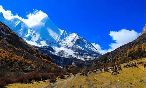 北京到稻城亚丁旅游攻略,北京到稻城亚丁有直飞吗