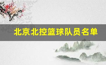 cba北京北控队员-北京北控篮球队员名单