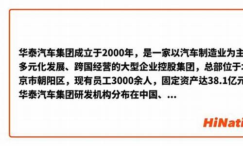 北京华泰汽车集团近几年财务分析_北京华泰汽车集团近几年财务分析表