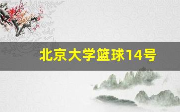 北京大学篮球队队长是谁-北京大学篮球14号