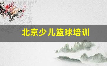 北京少儿篮球培训-北京少儿篮球培训哪家好