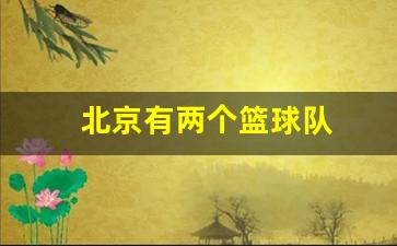 北京有两个篮球队-北京有两个篮球队她的名字叫中国叫什么