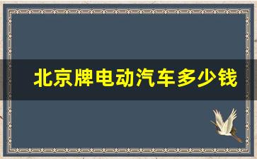北京牌电动汽车多少钱一台(北京牌电动汽车多少钱一台啊)_https://www.wguangz.com_大商所_第1张