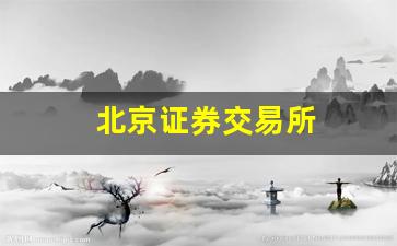 北京证券交易所(北京证券交易所上市公司名单)_https://www.jumanxin.com_上交所_第1张