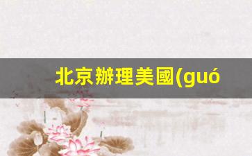 北京辦理美國(guó)簽證中介(北京辦理美國(guó)簽證中介電話)