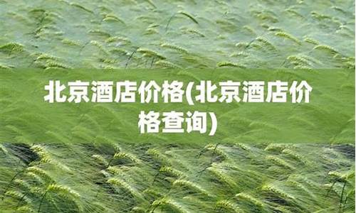 北京酒店价格查询_北京酒店价格查询300以下