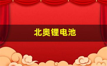 北奥锂电池(北奥锂电池是什么地方生产的)_https://www.haiwangdasha.com_广期所_第1张
