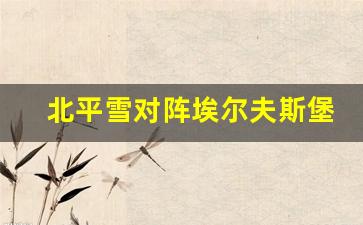 北平雪对阵埃尔夫斯堡-北雪平vs埃尔夫斯堡