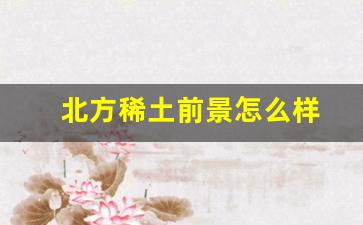 北方稀土前景怎么样(北方稀土严重低估)_https://www.nalian8.com_科创板_第1张