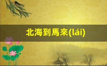 北海居民辦理馬來(lái)西亞簽證攻略，詳細(xì)步驟與注意事項(xiàng)解析