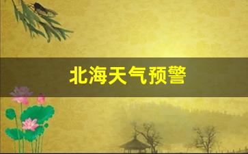 北海天气预警蓝色预警是第几_北海天气预警
