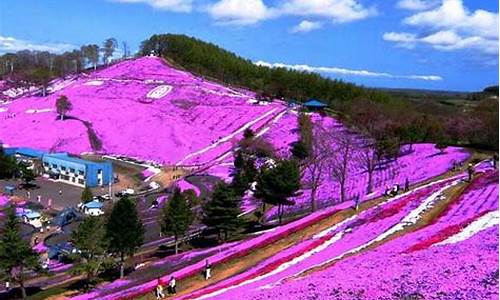 北海道6月份天气情况_北海道6月份天气