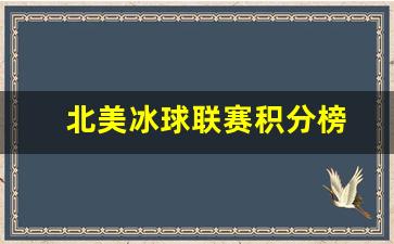 北美冰球联赛积分榜-北美冰球联赛nhl