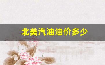 美国汽油价钱-北美汽油油价多少
