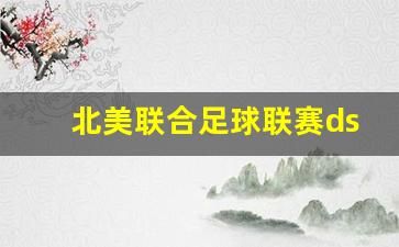 北美联合足球联赛ds-北美几大联赛