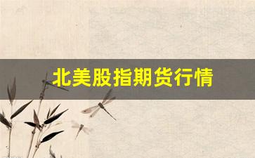 北美股指期货行情(北美股指期货行情最新消息)_https://www.haiwangdasha.com_科创板_第1张