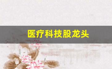 医疗科技股龙头(医疗a股科技龙头)_https://www.wanyuyiyao.com_创业板_第1张