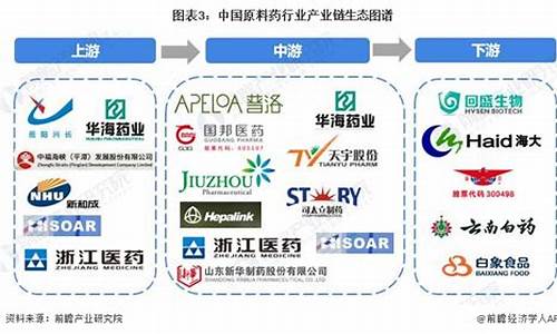 医药原料药的行业前景分析-医药原料药的行业前景
