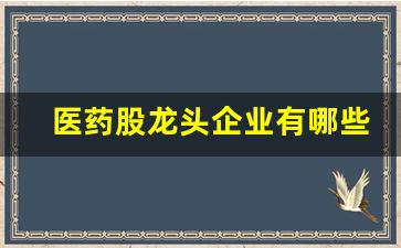 医药股龙头企业有哪些(医药股龙头企业有哪些股票)_https://www.kairu168.com_上期能源_第1张
