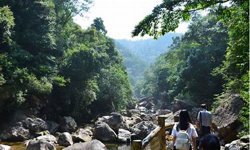 十万大山原始森林公园,十万大山国家公园