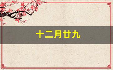 十二月廿九(十二月廿九是什么日子)-第1张图片-个人技术分享