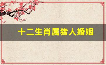 十二生肖猪的婚姻-十二生肖属猪人婚姻