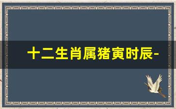 十二生肖属猪寅时辰-十二生肖属猪寅时辰出生好吗